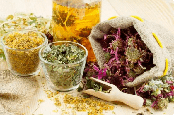 Herbs of prostatitis