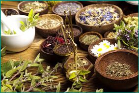 Medicinal plants for the treatment of chronic prostatitis